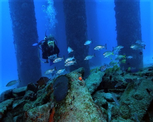 Diving in the Virgin Islands
