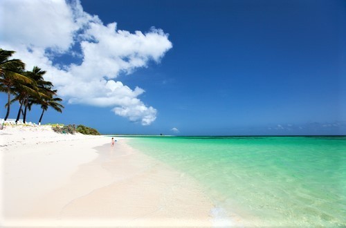 Best beach of Anegada  British Virgin islands