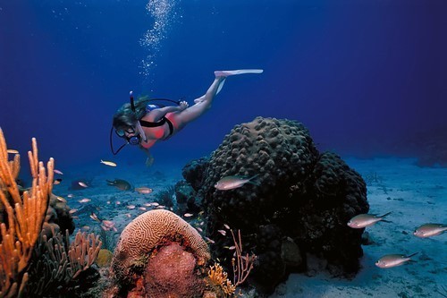 Reef snorkeling in Anegada British Islands
