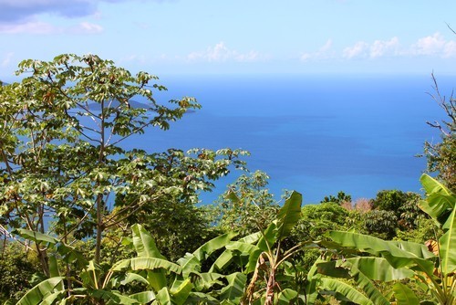 The natural park Tortola