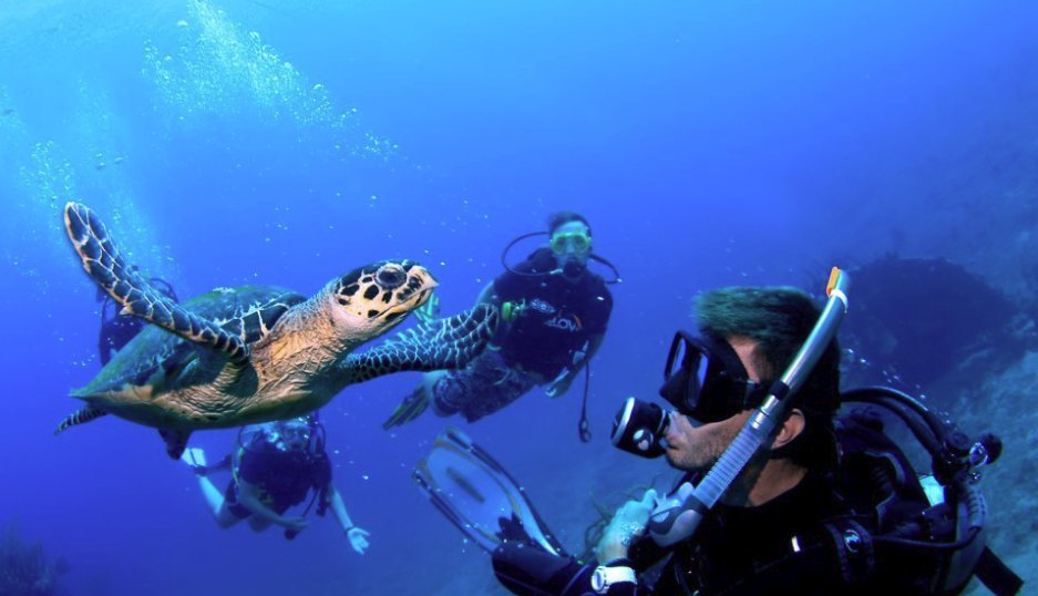 Dive sites include shipwrecks, secluded coves, treasure caves, beaches, wooded slopes and uninhabited islands.