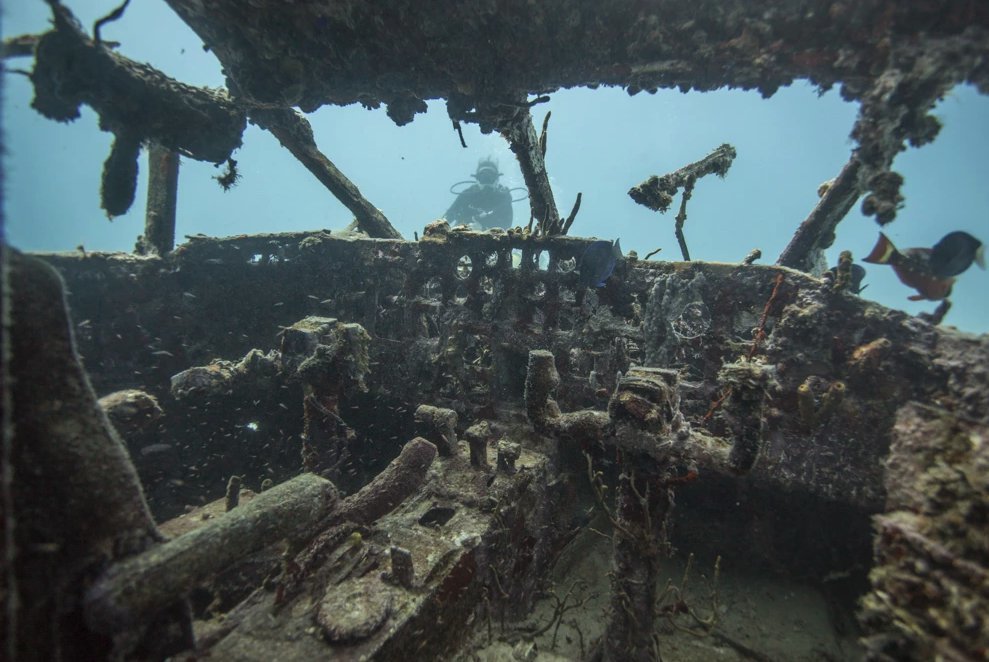 Dive sites include old shipwrecks near Virgin Gorda