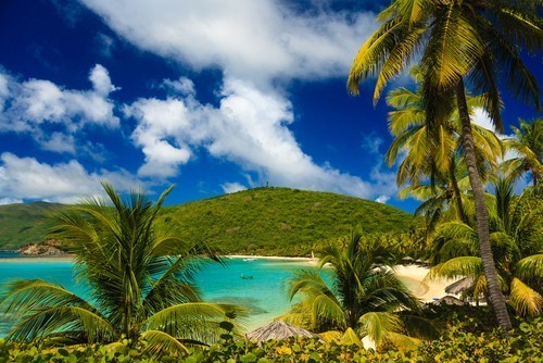 Virgin Gorda nature