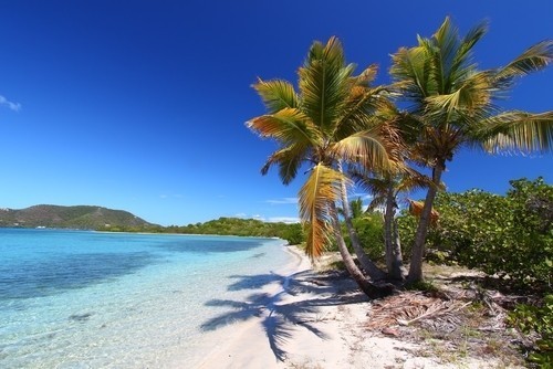 Beef island on Tortola