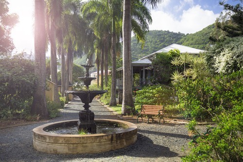 Tortola nature British Virgin Islands National Park