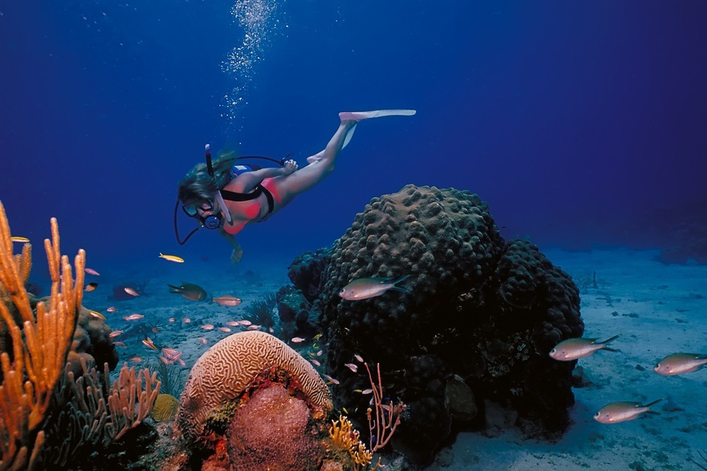 The best and well known diving spots in St. Croix