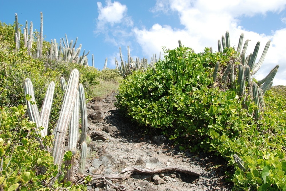 Witness the beauty of st.John surrounded by waterfalls and forestlands 